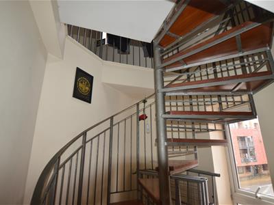 Picture 12